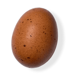 Floating Egg